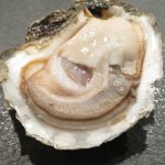 ウォーターグリルキッチンでランチ！海洋深層水牡蠣で約10年ぶりの生ガキ解禁